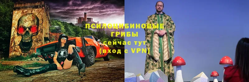 Псилоцибиновые грибы прущие грибы  Йошкар-Ола 